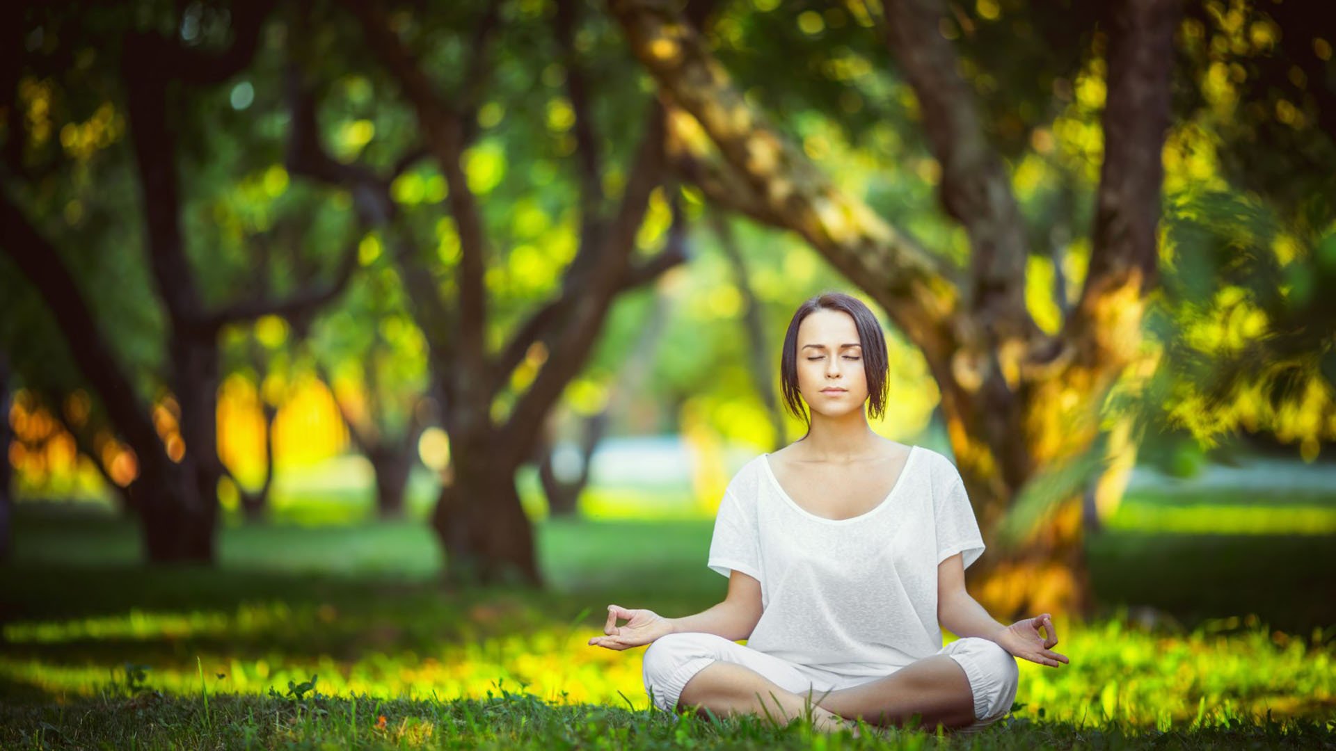 爱游戏登录入口-刚刚！斯图加特调整名单备战法国杯，门兴清晨更衣室发声，罗马欧冠篮板制胜